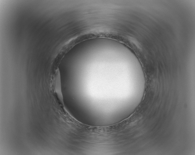 X0000073851016200608311955