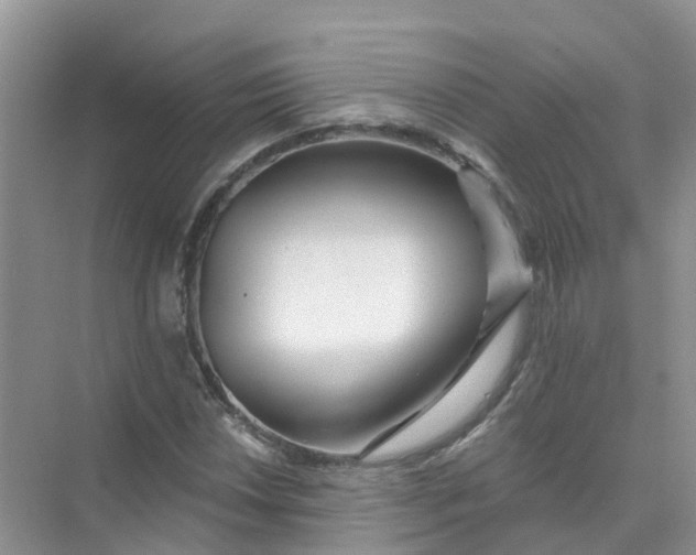 X0000073851018200608311955