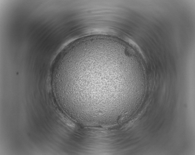 X0000073851019200608311955