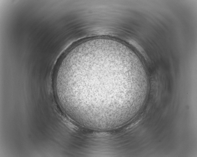 X0000073851023200608311955