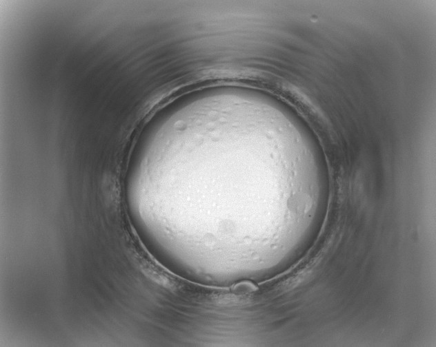 X0000073851025200608311955