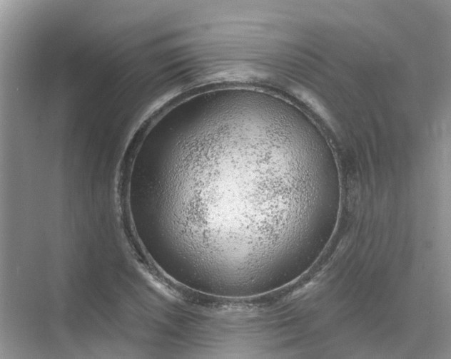 X0000073851026200608311955