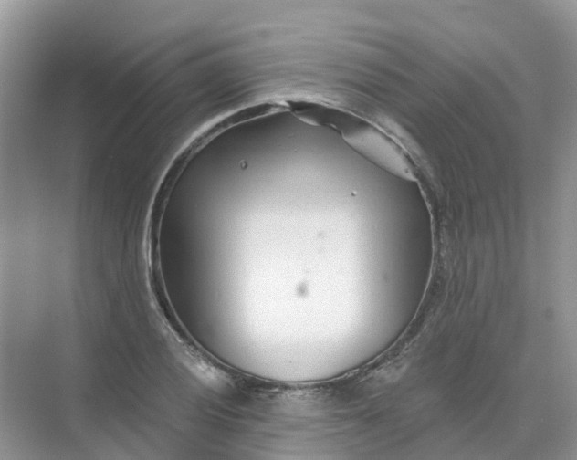 X0000073851028200608311955