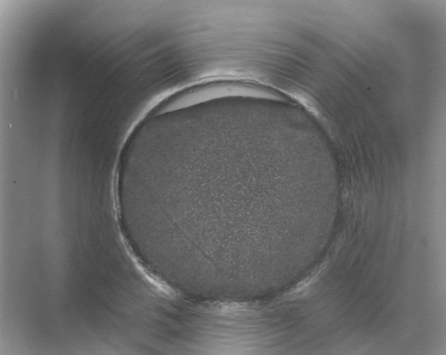 X0000073851030200608311955