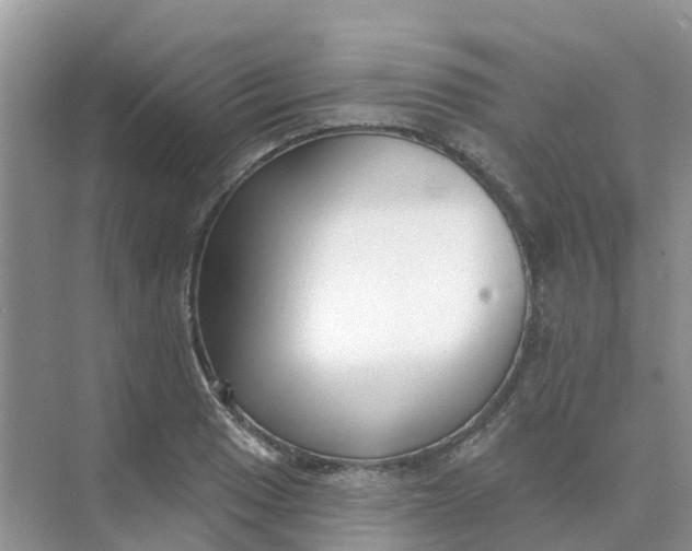 X0000073851033200608311955