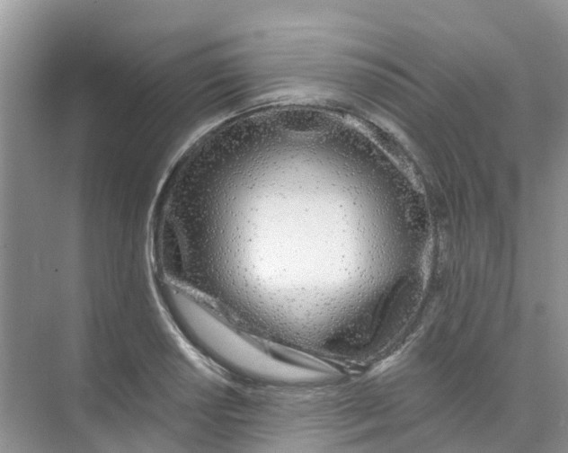 X0000073851034200608311955