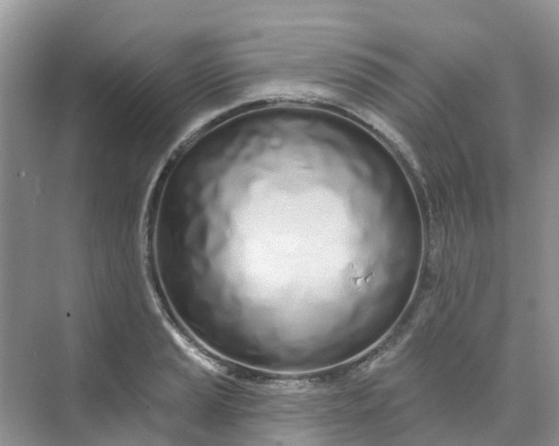 X0000073851037200608311955