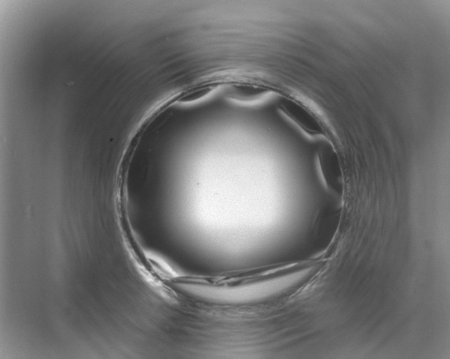 X0000073851042200608311955