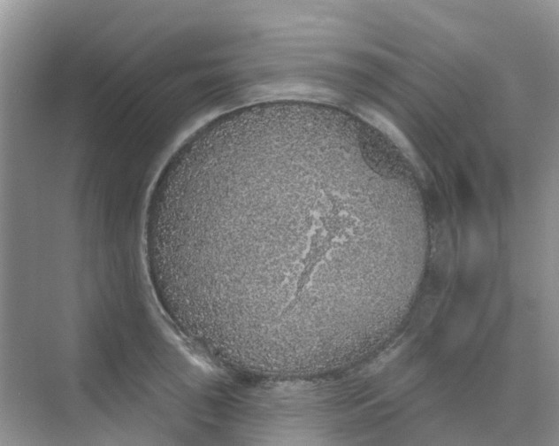 X0000073851043200608311955