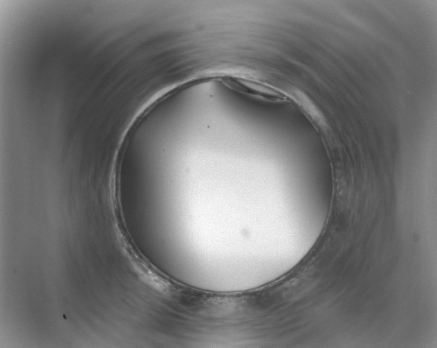 X0000073851044200608311955