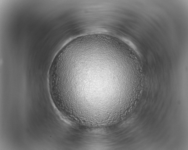 X0000073851047200608311955