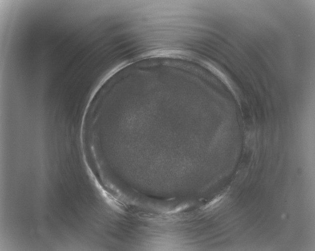 X0000073851050200608311955