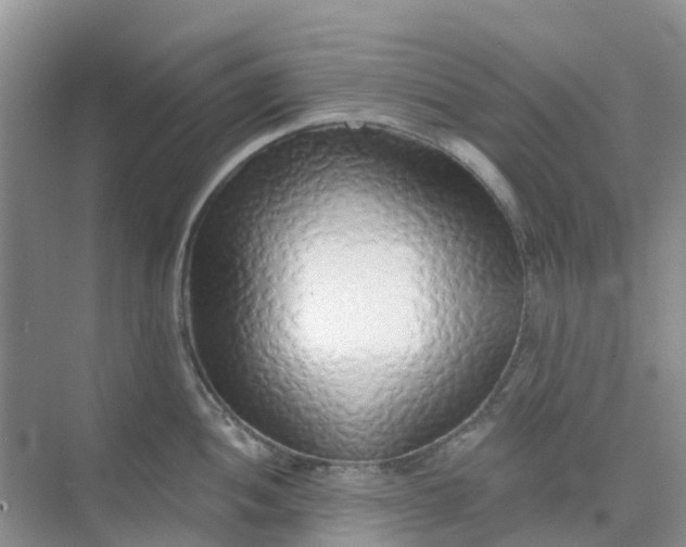 X0000073851052200608311955