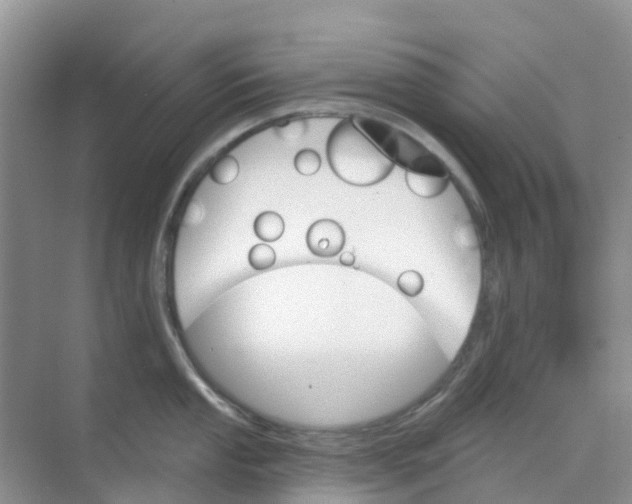 X0000073851053200608311955