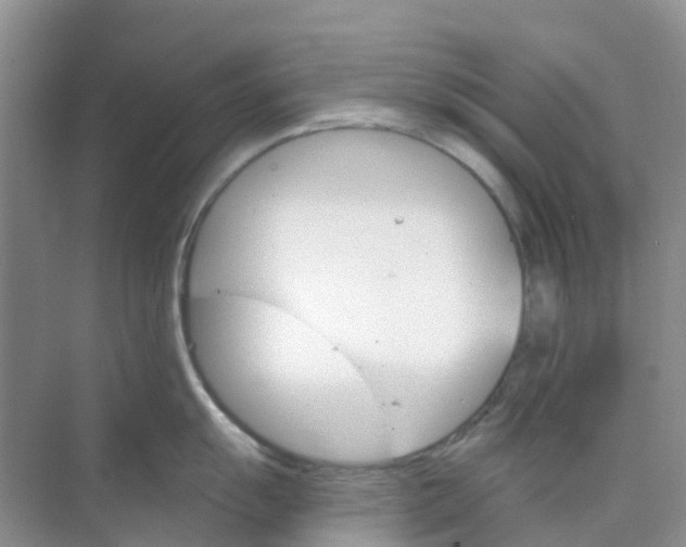 X0000073851055200608311955