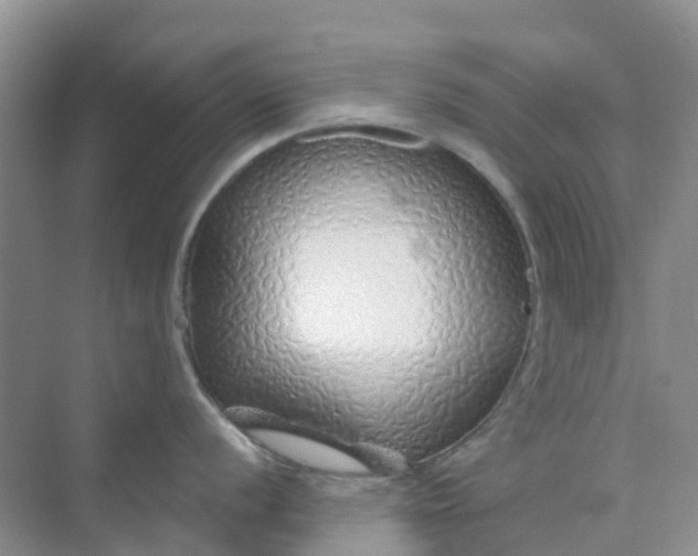 X0000073851056200608311956