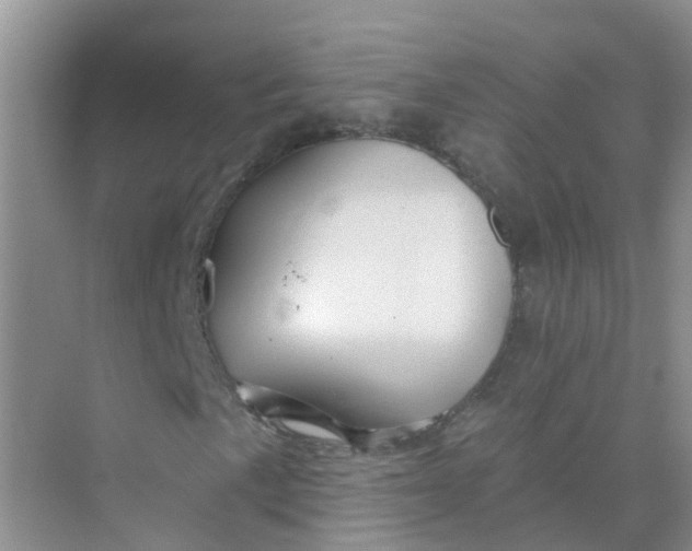 X0000073851057200608311955