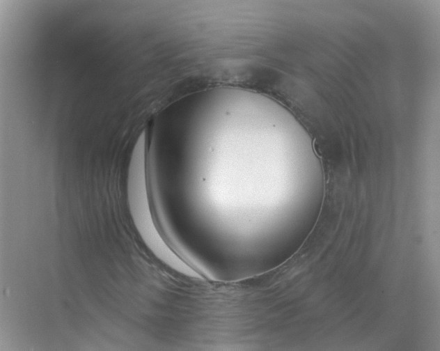 X0000073851058200608311955