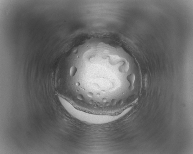 X0000073851059200608311955