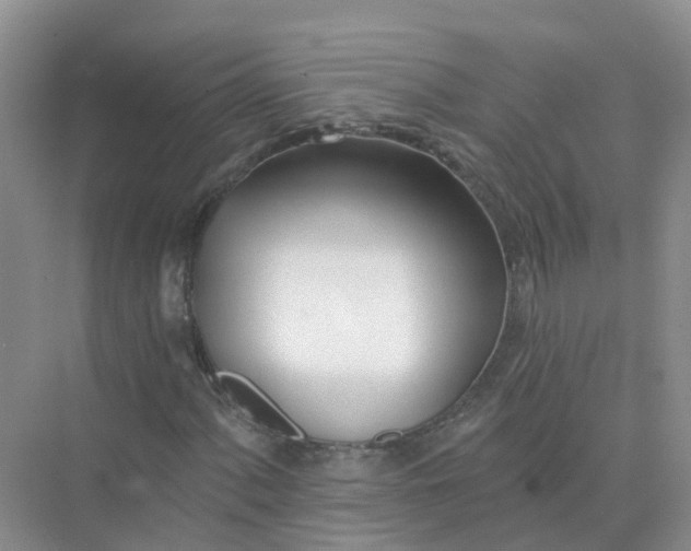 X0000073851060200608311955