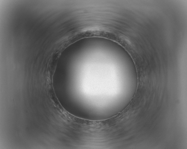 X0000073851062200608311955