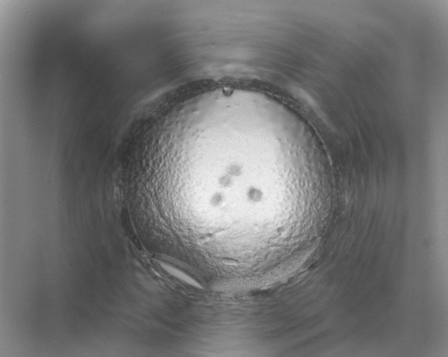 X0000073851063200608311955