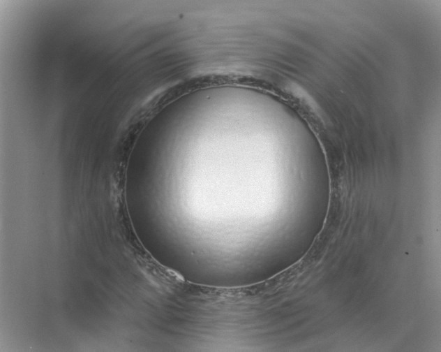 X0000073851064200608311955