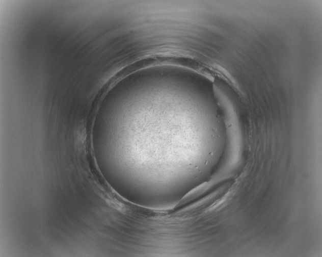 X0000073851065200608311955