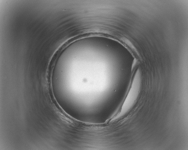 X0000073851068200608311955