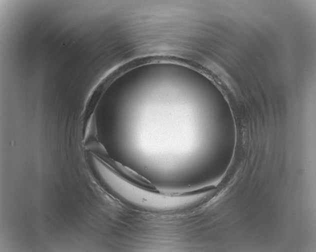 X0000073851069200608311955