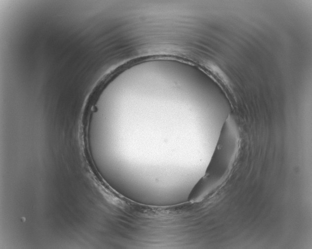 X0000073851072200608311954