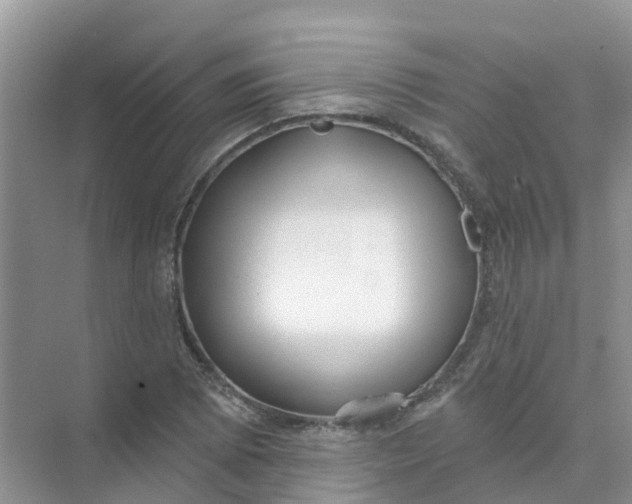 X0000073851073200608311954