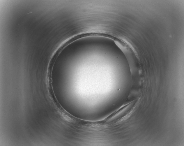 X0000073851077200608311954