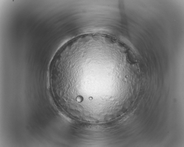 X0000073851079200608311954