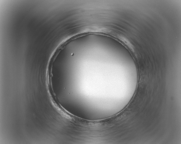 X0000073851080200608311954