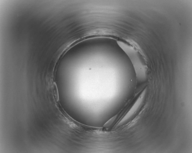 X0000073851081200608311954