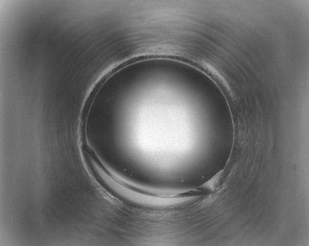 X0000073851085200608311954