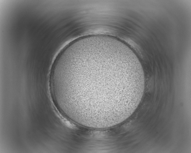 X0000073851086200608311954