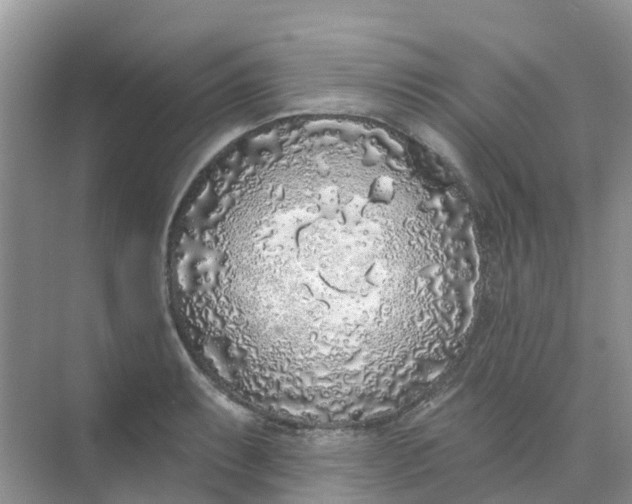 X0000073851087200608311954