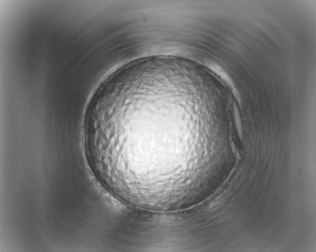 X0000073851088200608311954