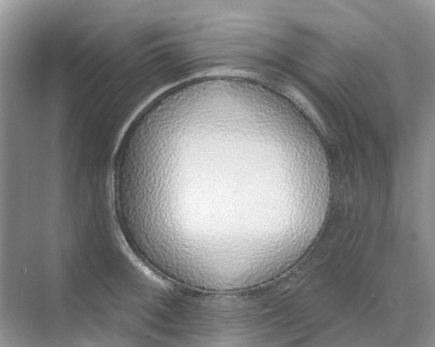 X0000073851092200608311954