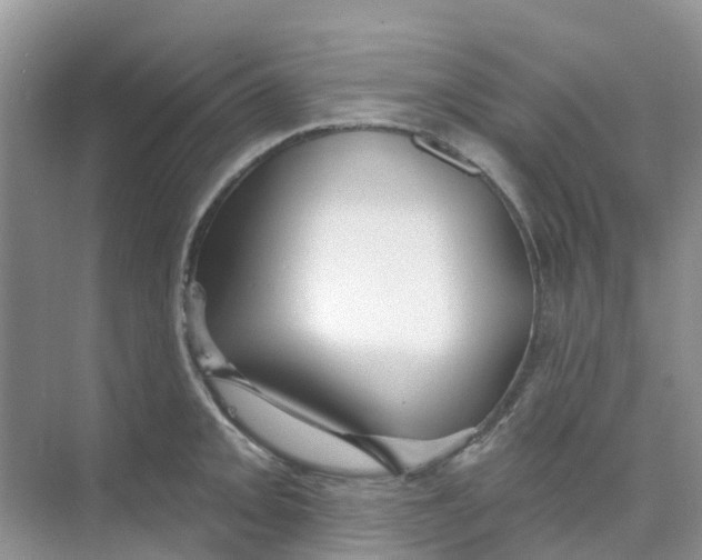 X0000073851093200608311954