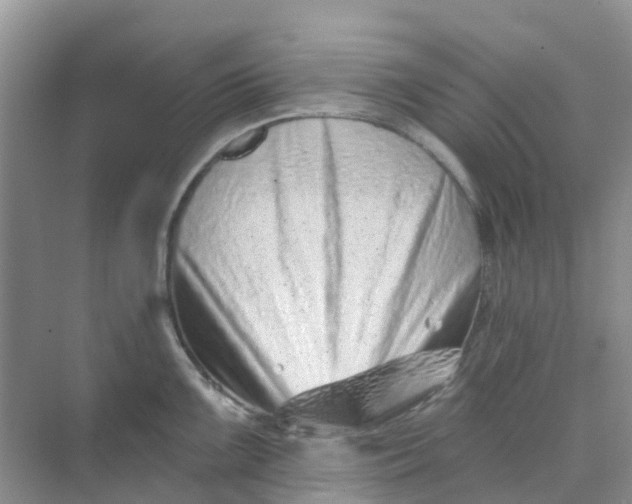 X0000073851099200608311954