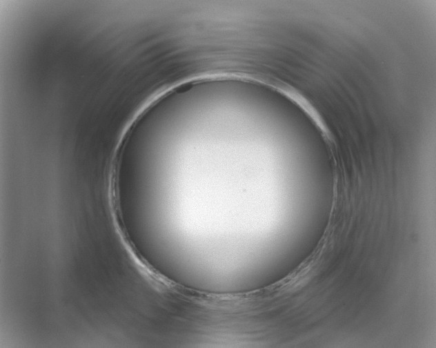 X0000073851101200608311954