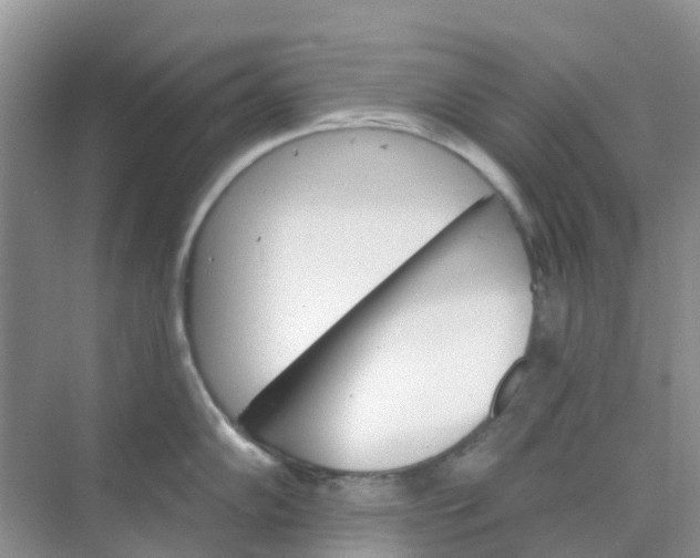 X0000073851102200608311954