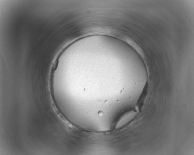 X0000073851104200608311954