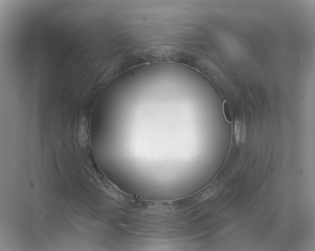 X0000073851107200608311953