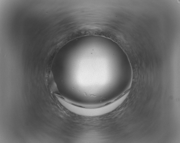 X0000073851109200608311953