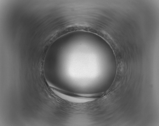 X0000073851110200608311953