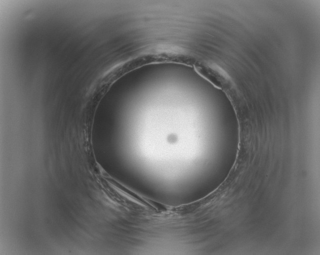 X0000073851112200608311953